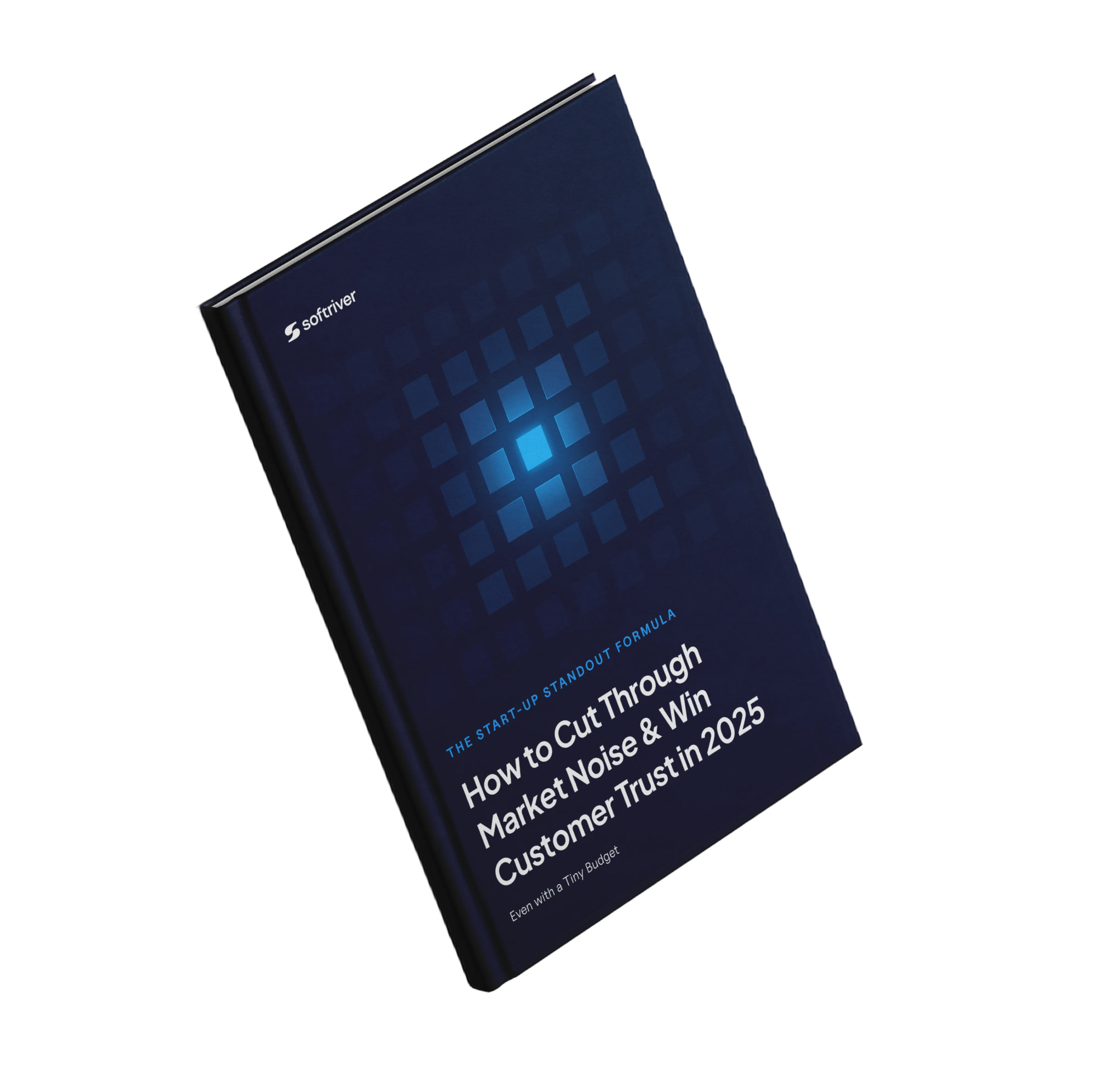The Startup Standout Formula book